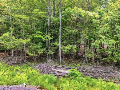 Tbd Boulder Brook Rd Lot B13, Windham, NY 12496 - photo 3