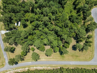 Over Head view