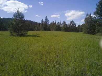 xx Dry Creek Rd, Chewelah, WA 99109 - photo 2