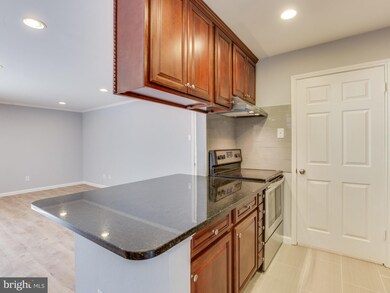 1540 Lincoln Way unit 104, McLean, VA 22102 - photo 7
