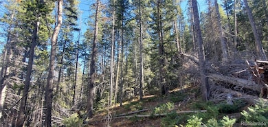 Lot 2999 & 2998 Drexler Place unit 2998,2999, Sangre de Cri, CO 81133 - photo 4