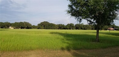 0 Sutton Oaks Ln unit T3155595, Zephyrhills, FL 33541 - photo 5