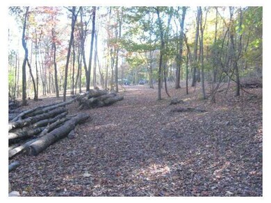 11163 Gore-Greendale Rd, Logan, OH 43138 - photo 6