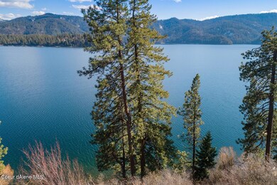 Southern Exposure- Wide view