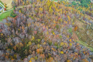 TBD 3 Mayito Ln, Mouth of Wilson, VA 24363 - photo 4