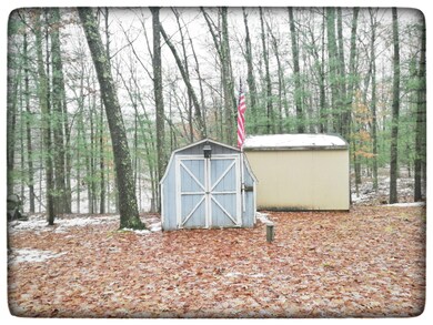 2301 Lincoln St, Bitely, MI 49309 - photo 2