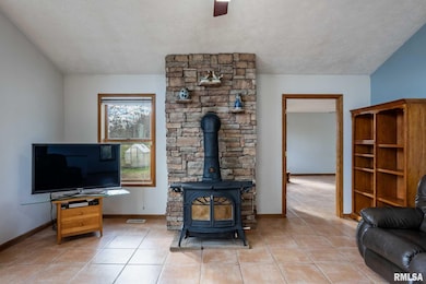 450 Clark School Rd, de Soto, IL 62924 - photo 5