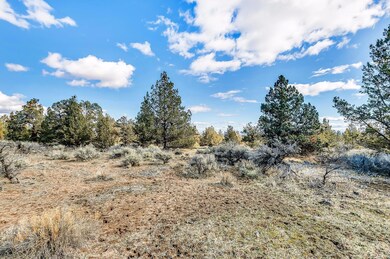 1 Farview Dr, Bend, OR 97703 - photo 3