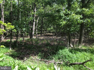 LOT 42, 43 Eagles Nest Ln, Harpers Ferry, WV 25425 - photo 2