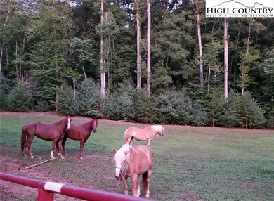 One of three pastures for the all the family!,