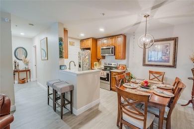 6554 Swissco Dr unit 511, Orlando, FL 32822 - photo 4