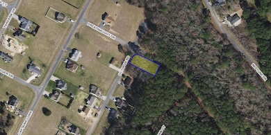 Lot 128 Octopus Rd unit 128, Greenbackville, VA 23356 - photo 4