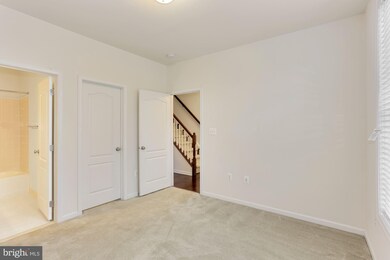 23289 Carters Meadow Terrace, Ashburn, VA 20148 - photo 5