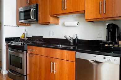 Folio Boston unit 505, Boston, MA 02110 - photo 5