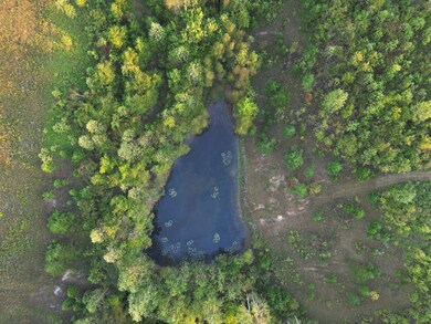 0 Casey Creek Rd unit Knifley KY 42753, Knifley, KY 42753 - photo 7