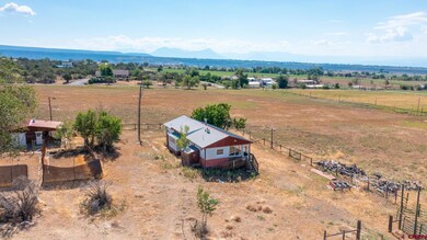 25186 Cedar Mesa Rd, Cedaredge, CO 81413 - photo 6