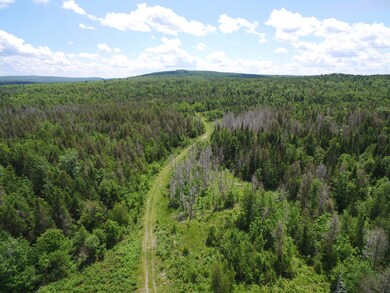 DJI_0508