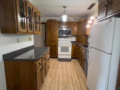 Kitchen with stainless steel appliances, hanging l