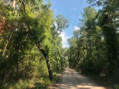 0 Whippoorwill Ln unit 295772, Crawfordville, FL 32327 - photo 6