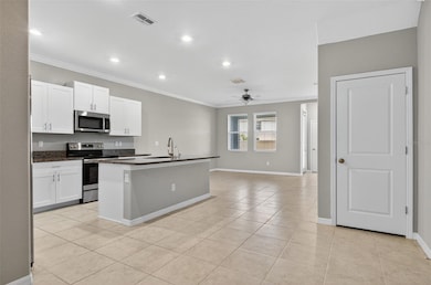 Entrance and Kitchen