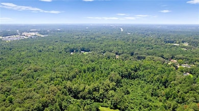 Aerial view with a forest view