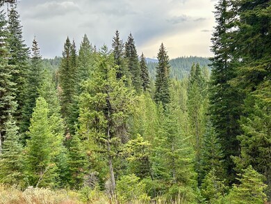 25 Sawtooth Loop unit Lot 25, Cascade, ID 83611 - photo 6
