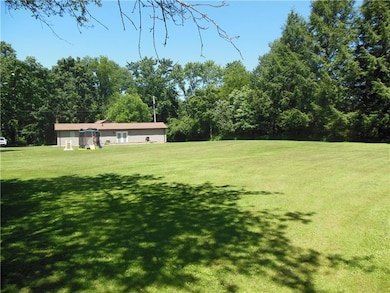 View towards the house from the back yard