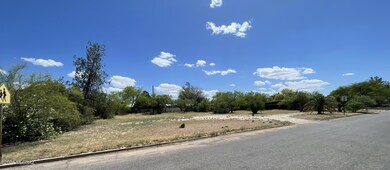 IMG_0993