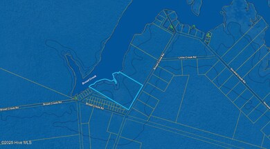 Wetland Flood Zone Pic