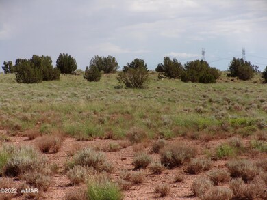 Valley Road 002