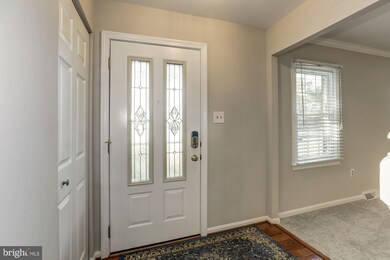 7721 Maritime Ln, Springfield, VA 22153 - photo 6