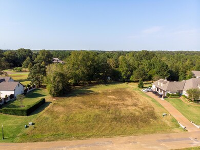 DJI_0770-HDR