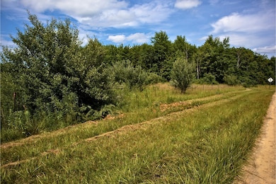 VL 104th Ave, Allegan, MI 49010 - photo 7