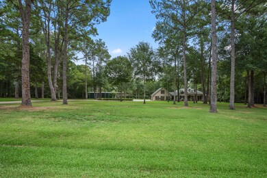 24882 Tenn Oaks Rd, Hockley, TX 77447 - photo 6