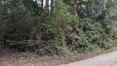 23403 Cardinal Dr, Hockley, TX 77447 - photo 6