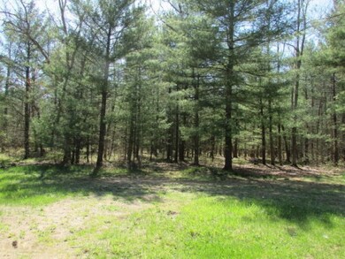10783 N Cedar Crest Trail, Bitely, MI 49309 - photo 3