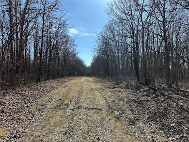 LOTS 3155,3156,3101 Rolfs Place, Union Township, MO 65326 - photo 3