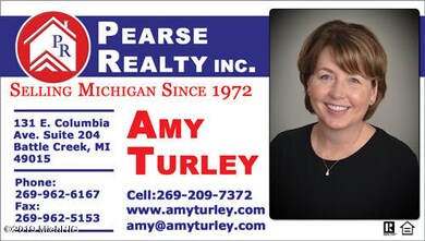 Amy_Turley_500