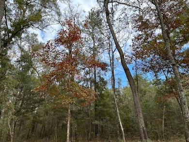 0 Parkers Ferry Rd, Ravenel, SC - photo 3