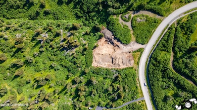 DJI_0812