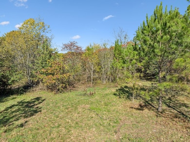 7489 Shoals Branch Rd, Primm Springs, TN 38476 - photo 5