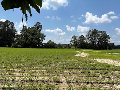 0 Near James B White Hwy N, Clarkton, NC 28433 - photo 3