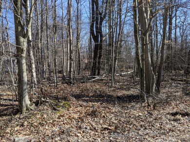 Lot 705, Aspen Terrace, Tobyhanna, PA 18466 - photo 2