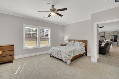 533 Mitscher Way, Chapin, SC 29036 - photo 6