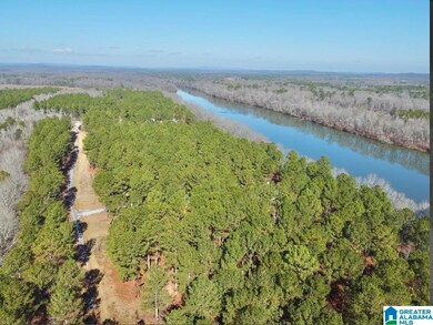 650 & 651 Liberty Shores Blvd unit Lot 9C, Vincent, AL 35178 - photo 6