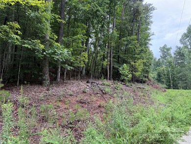 00 Woodchuck Ln unit 110, Marion, NC 28752 - photo 4