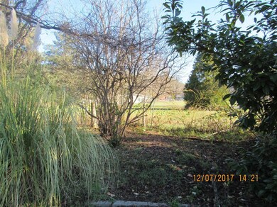 401 Berglund St, Rogue River, OR 97537 - photo 4