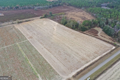 0 Jowers Rd, Whigham, GA 39897 - photo 5