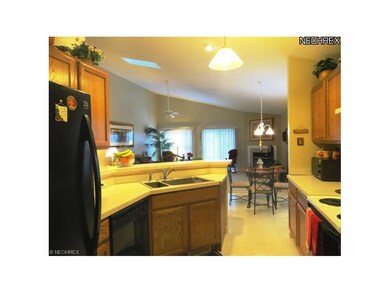 Kitchen-view 1