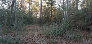 25571 Kimbro Rd, Hockley, TX 77447 - photo 7